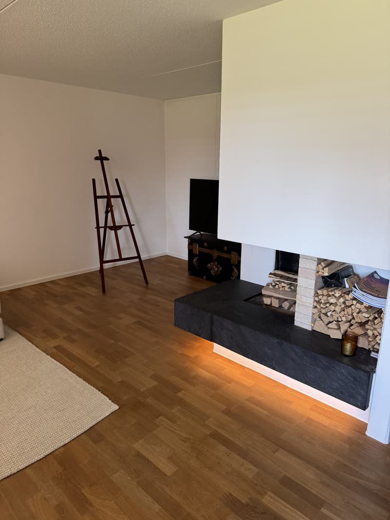 3.5 Zi Wohnung (8)
