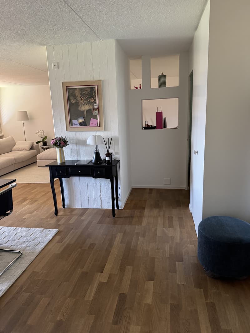 3.5 Zi Wohnung (10)