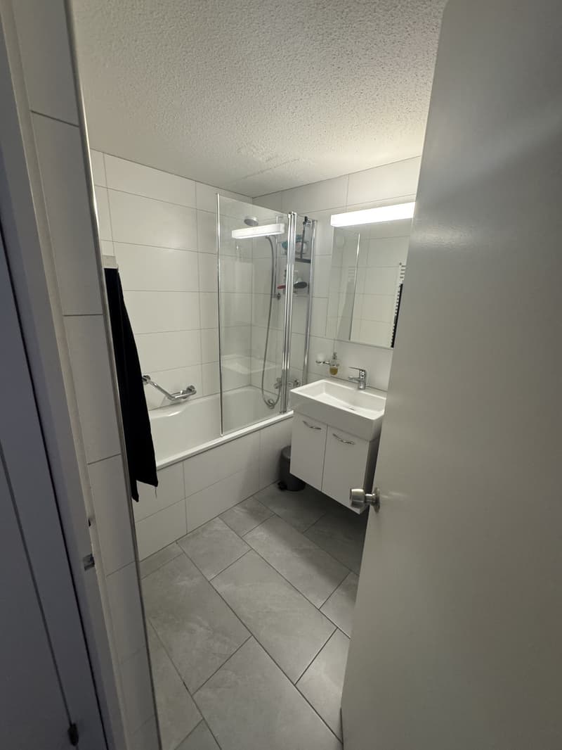 3.5 Zi Wohnung (6)
