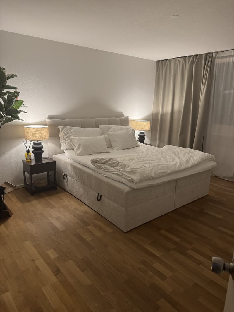 3.5 Zi Wohnung (11)