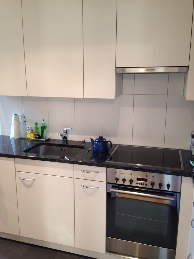 Sonnige, zentrale 4.5 Zimmer Wohnung - sunny, well located (8)