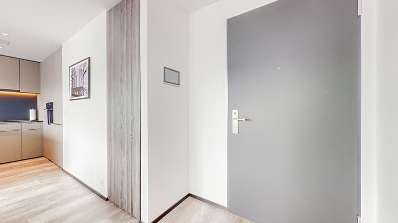 Rent a 2 rooms apartment in Dübendorf (6)