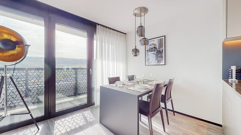 Rent a 2 rooms apartment in Dübendorf (4)