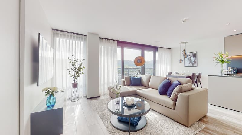 Rent a 2 rooms apartment in Dübendorf (2)