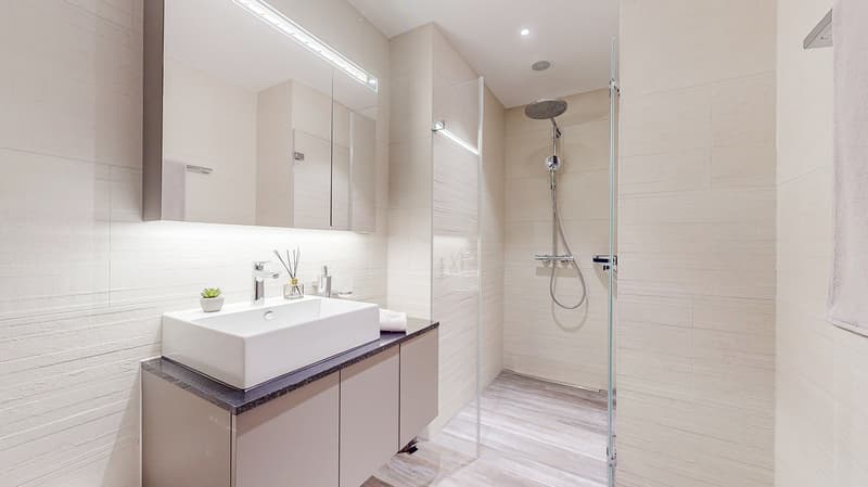 Rent a 2 rooms apartment in Dübendorf (7)