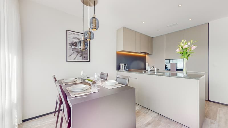 Rent a 2 rooms apartment in Dübendorf (3)