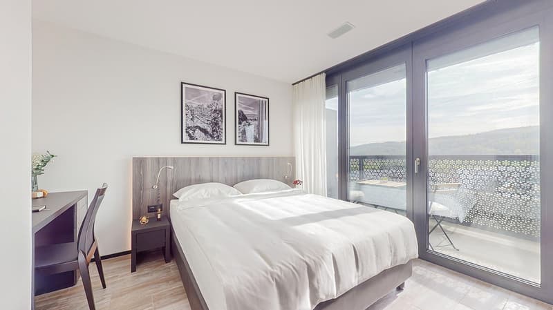 Rent a 2 rooms apartment in Dübendorf (8)