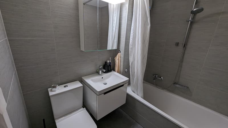 (Sept-Okt 2026) Wunderschöne möblierte 3.5-Zimmer Wohnung in Zürich, Wiedikon - Ihr perfektes Homeoffice-Paradies für 2 Monate Untermiete! (9)