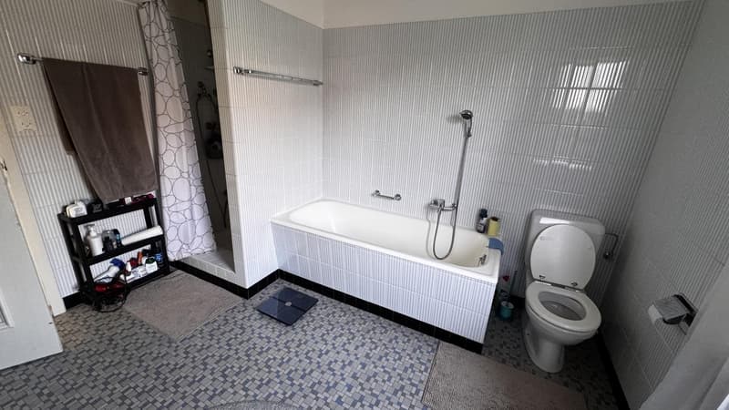 Idyllisches WG-Zimmer (ab 1.10./ nach Vereinbarung) in Haus mit Garten (4)