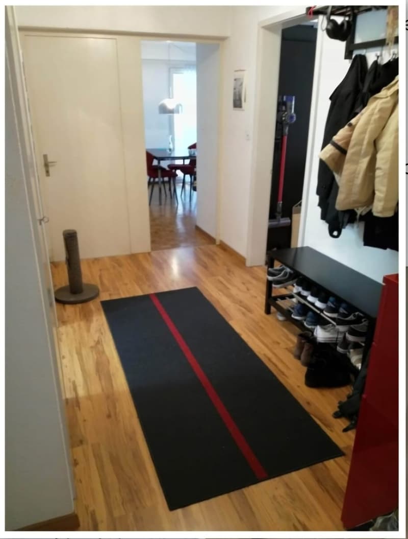 WG Zimmer in 3 Zimmerwohnung befristet unterzuvermieten (5)