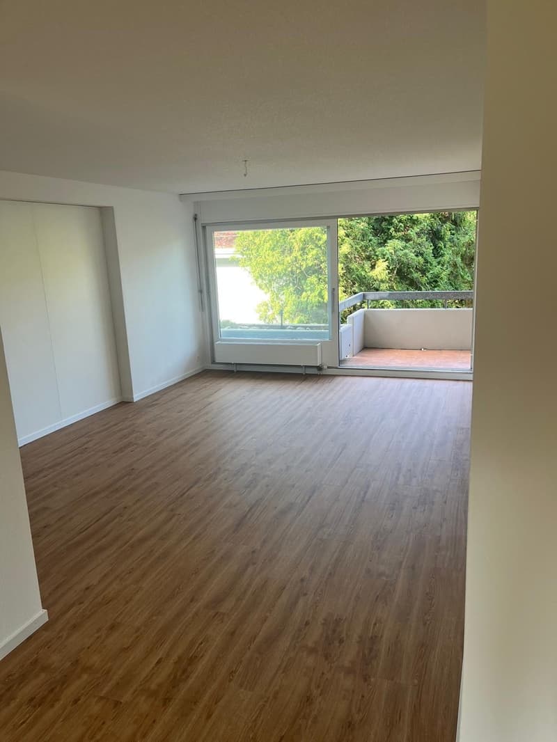 Mitbewohner:in gesucht:)) Erstbezug nach Komplettrenovierung in Dübendorf (9)