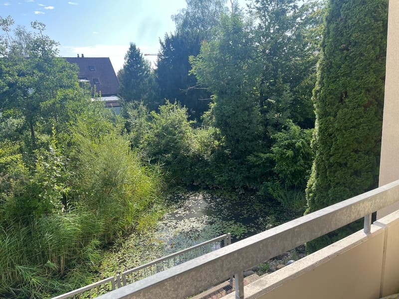Mitbewohner:in gesucht:)) Erstbezug nach Komplettrenovierung in Dübendorf (5)