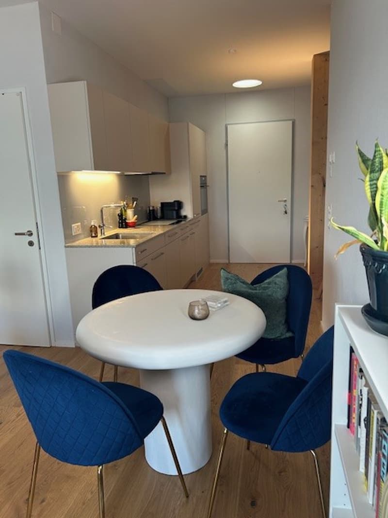 Freundliche, voll möblierte 2.5-Zimmer Wohnung (51.5 m²) mit Seesicht zur Untervermietung in Horgen Oberdorf (5)