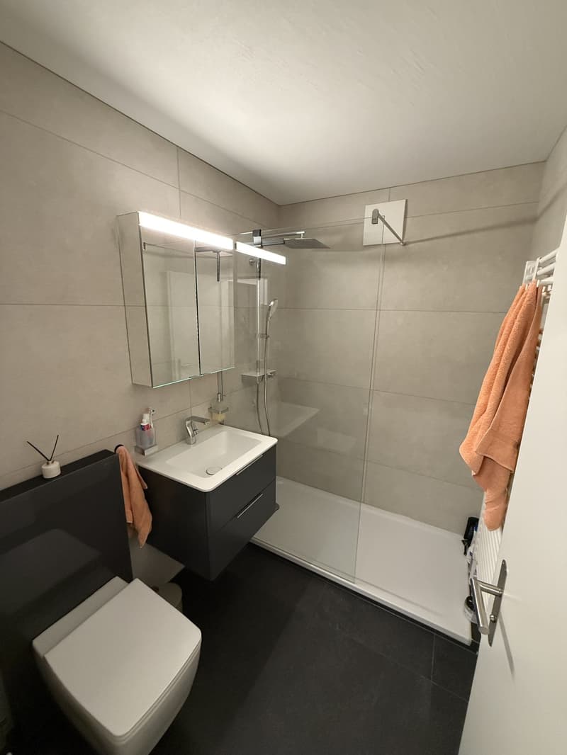 2,5-Zimmer Wohnung Affoltern am Albis (6)
