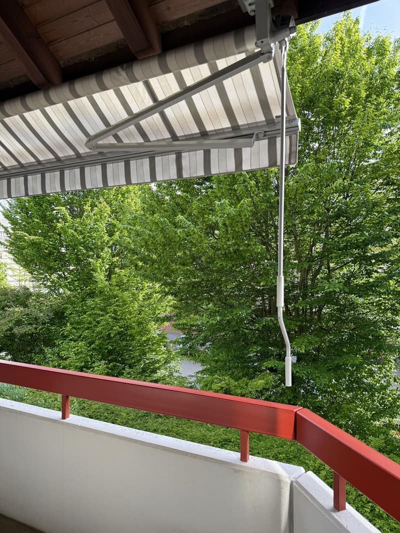 2,5-Zimmer Wohnung Affoltern am Albis (9)