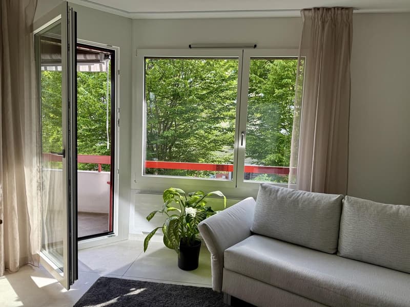 2,5-Zimmer Wohnung Affoltern am Albis (5)