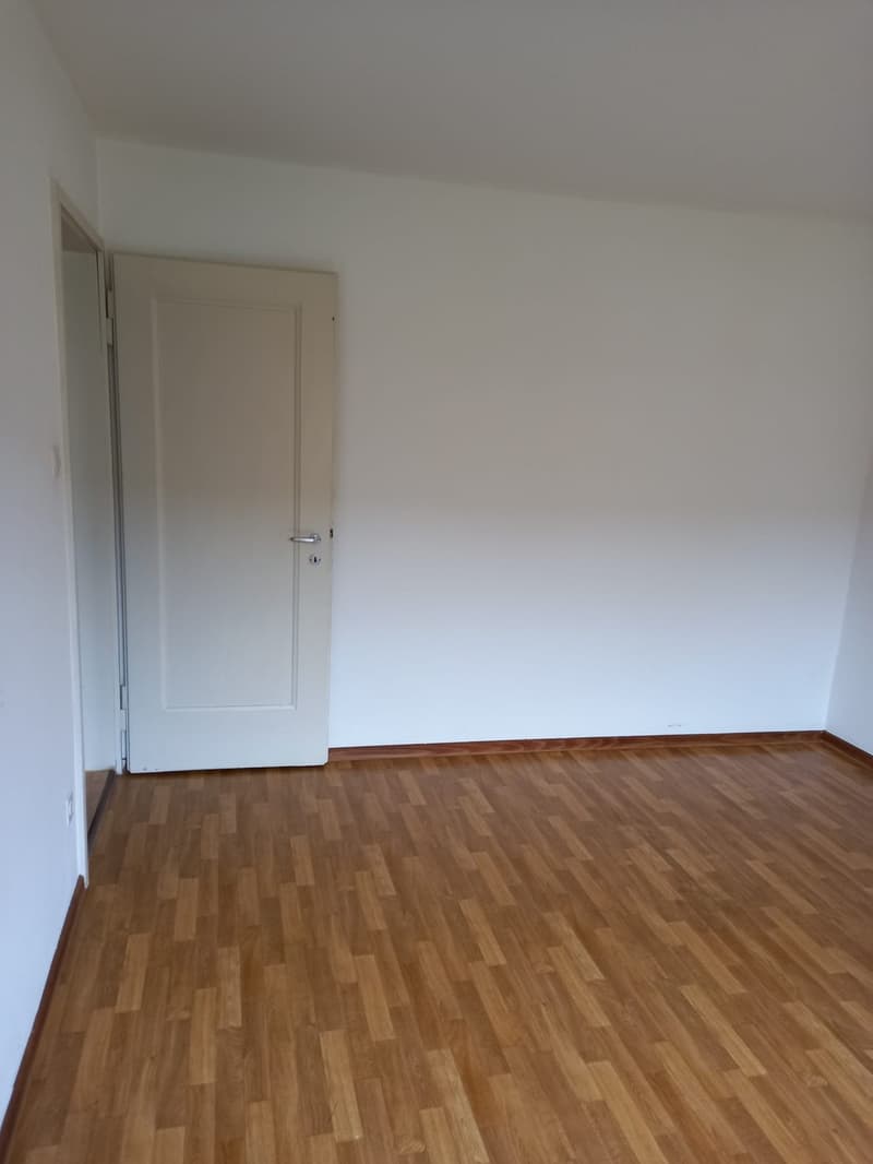 Helle 2-Zimmer-Wohnung mit Balkon in Zürich (4)