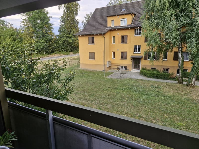 Helle 2-Zimmer-Wohnung mit Balkon in Zürich (5)