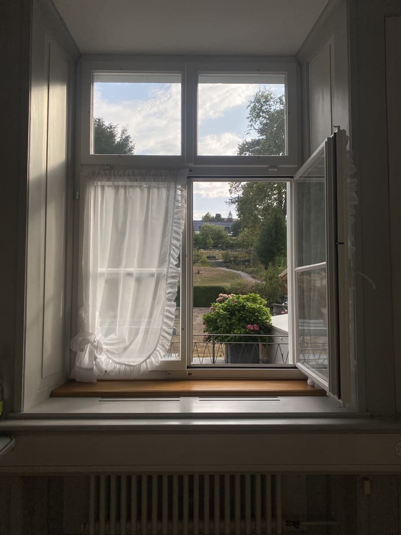 Nachmieter gesucht  wunderschöne 3-Zimmer-Altbauwohnung in Weinfelden (3)