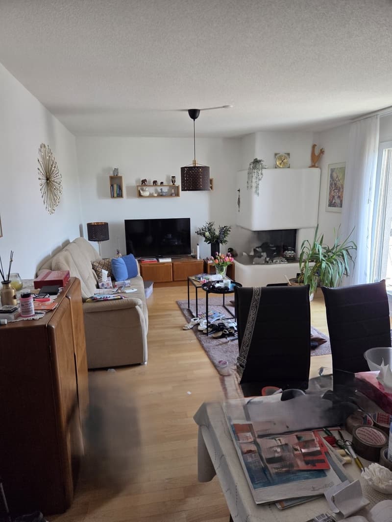 3,5 Zimmer Attikawohnung (1)