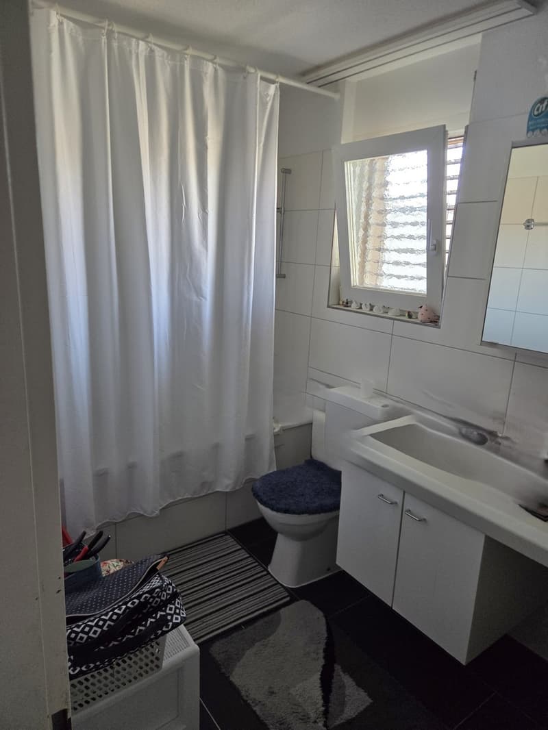 3,5 Zimmer Attikawohnung (5)