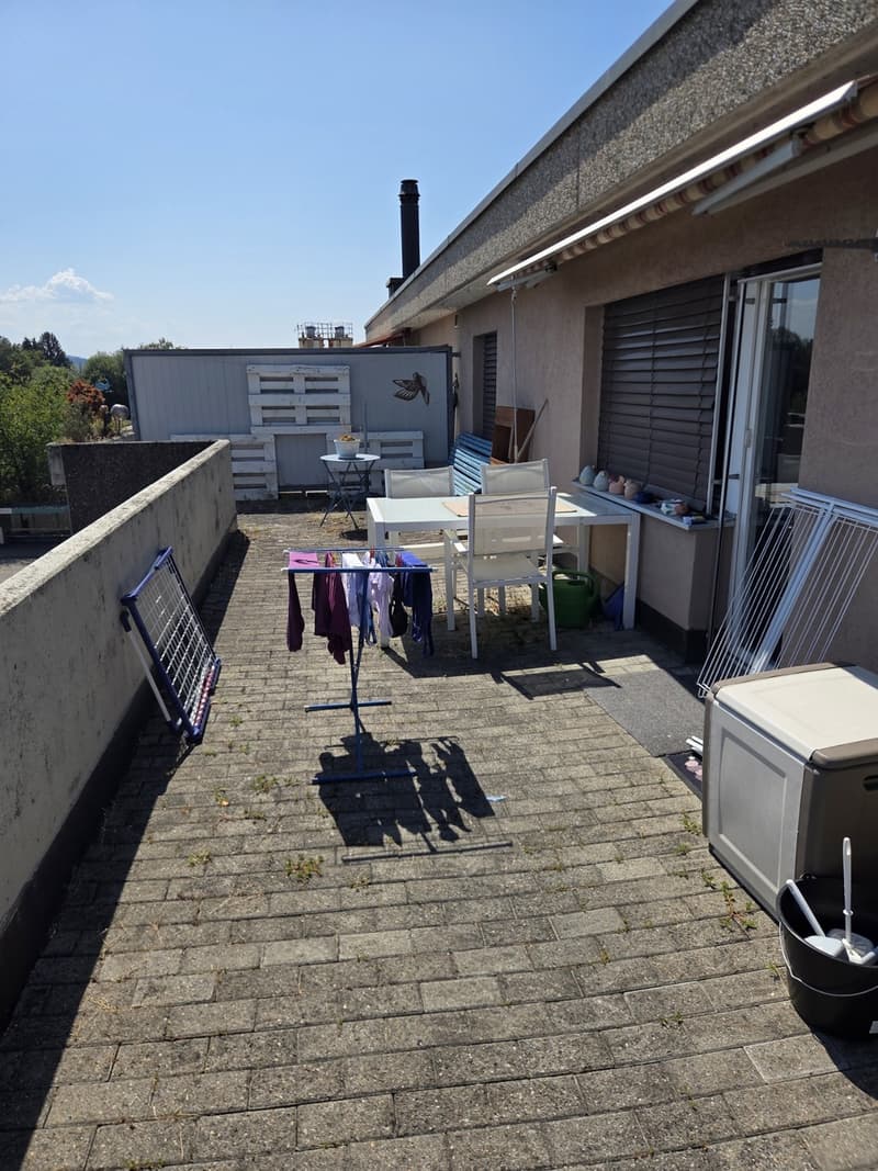 3,5 Zimmer Attikawohnung (2)
