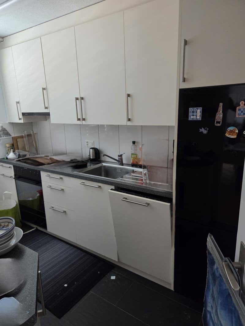 3,5 Zimmer Attikawohnung (4)