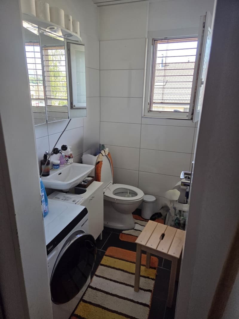 3,5 Zimmer Attikawohnung (6)