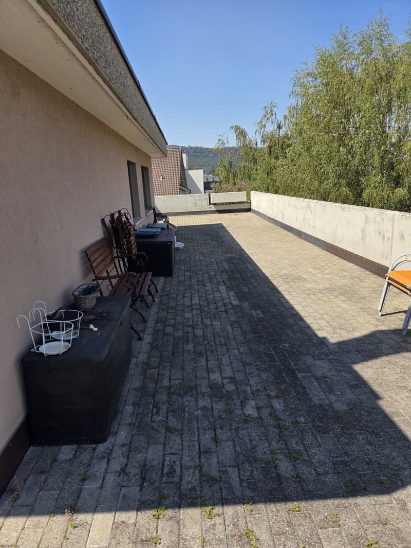 3,5 Zimmer Attikawohnung (3)