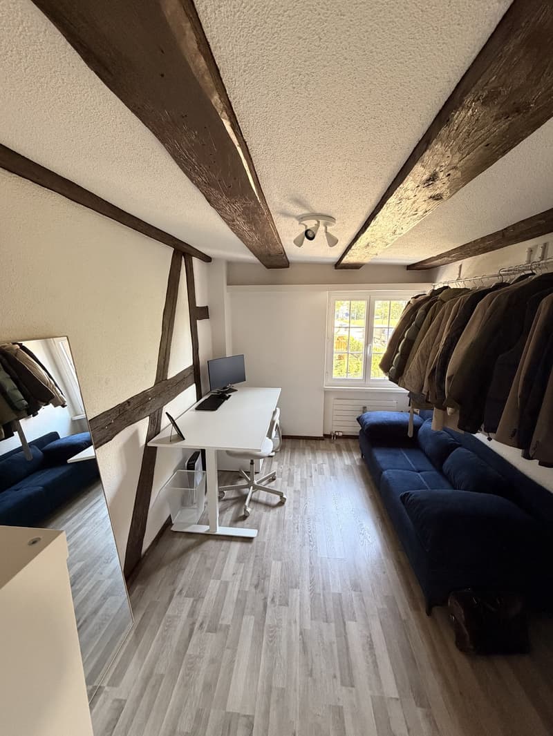 3 ½ Zimmer-Wohnung, 8552 Felben-Wellhausen (3)