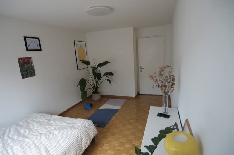 WG-Zimmer in Luzerner Neustadt (2)