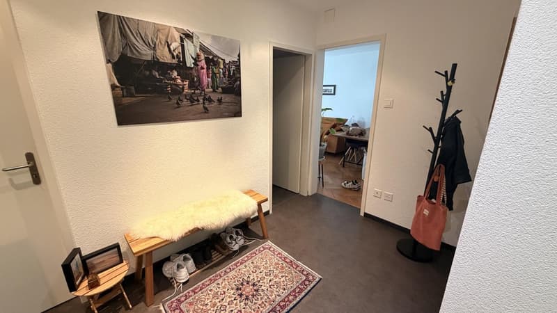 Möbilierte Wohnung zu vermieten (10)