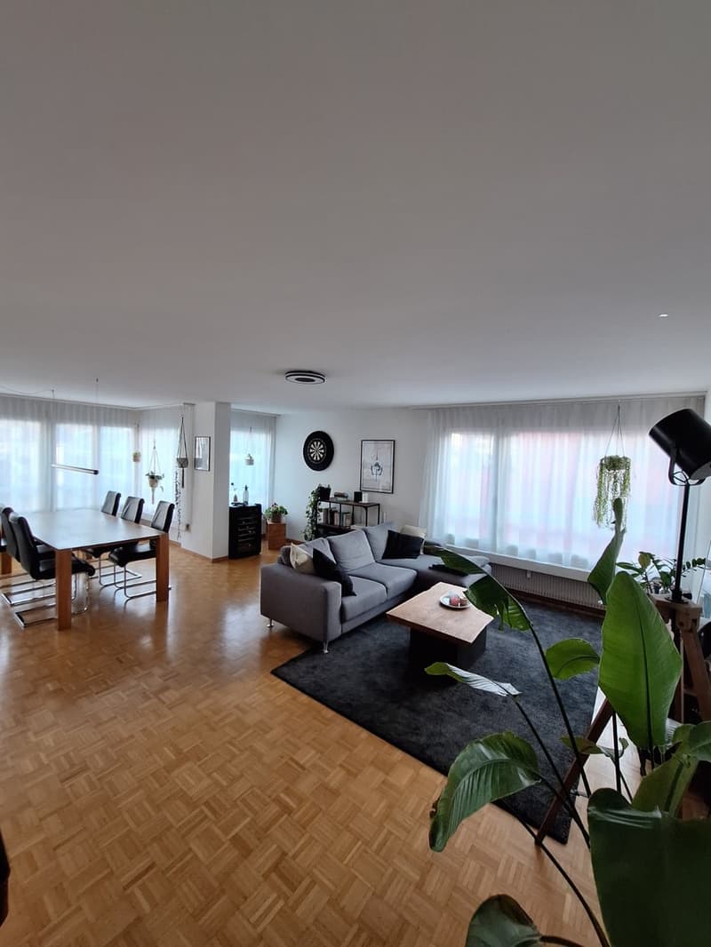 WG-Zimmer in Luzerner Neustadt (4)