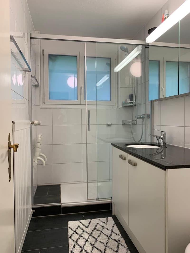 Sehr helle Wohnung mit Traumterrasse (2)