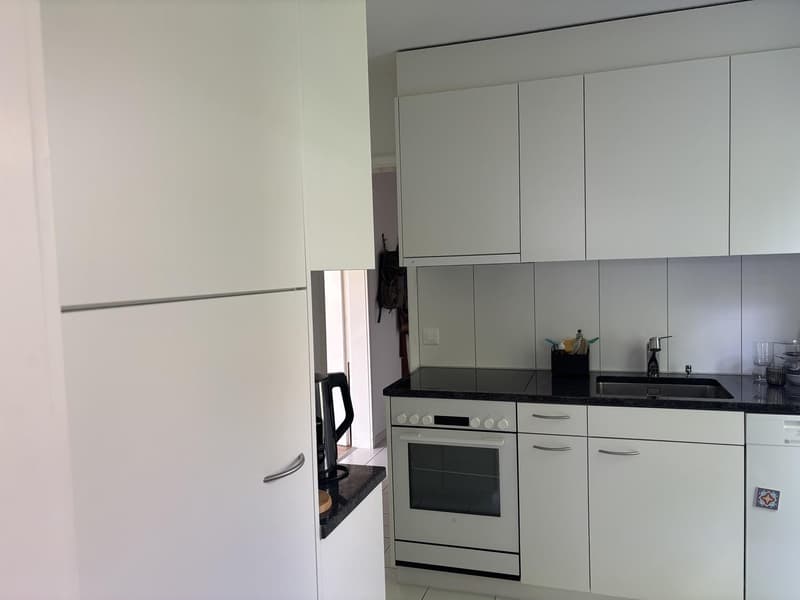 Sehr helle Wohnung mit Traumterrasse (4)