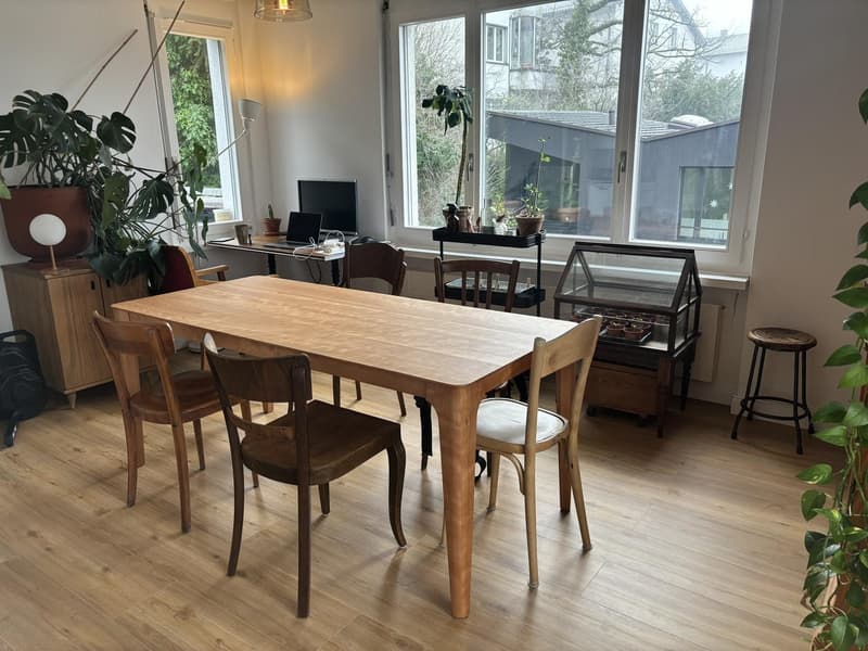 Sehr helle Wohnung mit Traumterrasse (5)