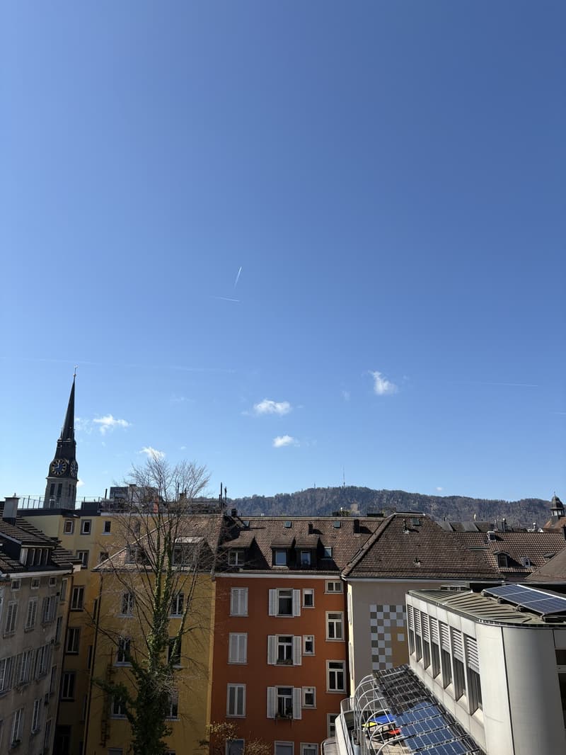 Grosses Zimmer mit eigenem Balkon in 96 m² Wohnung | Kreis 4 | < 10 Min. zum HB (9)