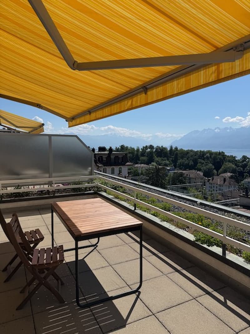 Reprise de bail Magnifique 2 pièces meublé avec grande terrasse, vue lac & Alpes (2)