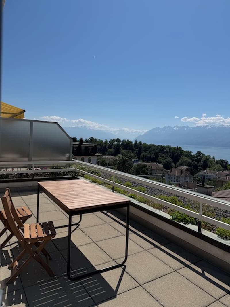 Reprise de bail Magnifique 2 pièces meublé avec grande terrasse, vue lac & Alpes (4)