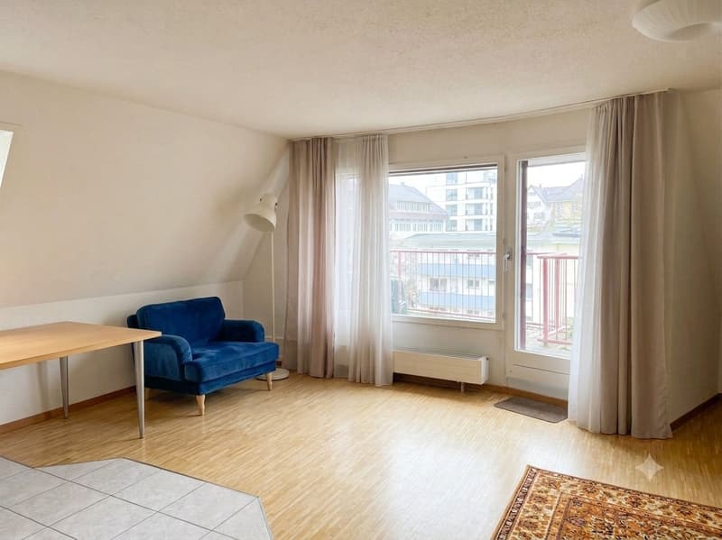 4 ½ rooms apartment, 8050 Zurich (2)