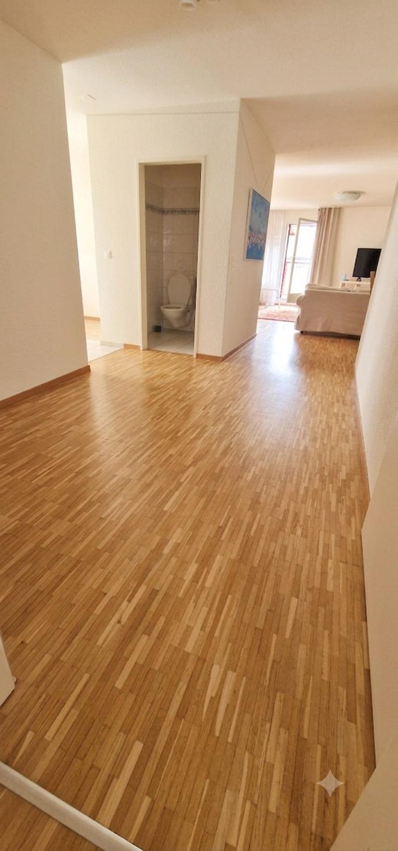 4 ½ rooms apartment, 8050 Zurich (13)