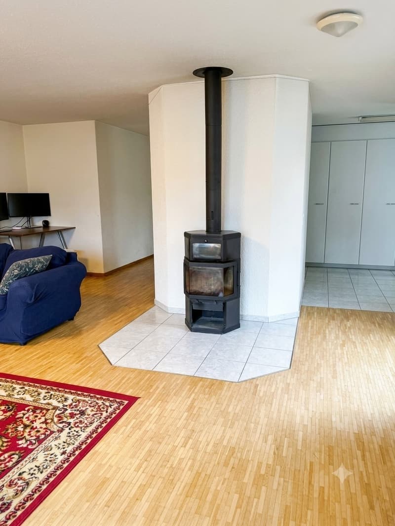 4 ½ rooms apartment, 8050 Zurich (3)