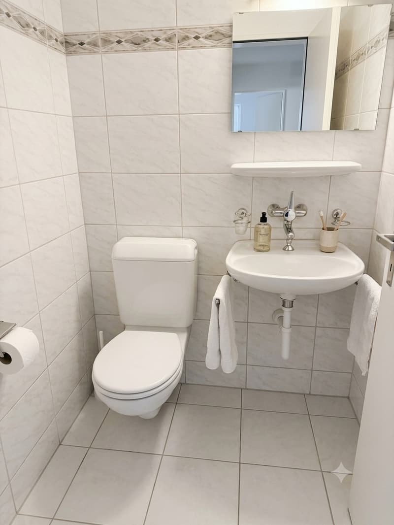 4 ½ rooms apartment, 8050 Zurich (7)
