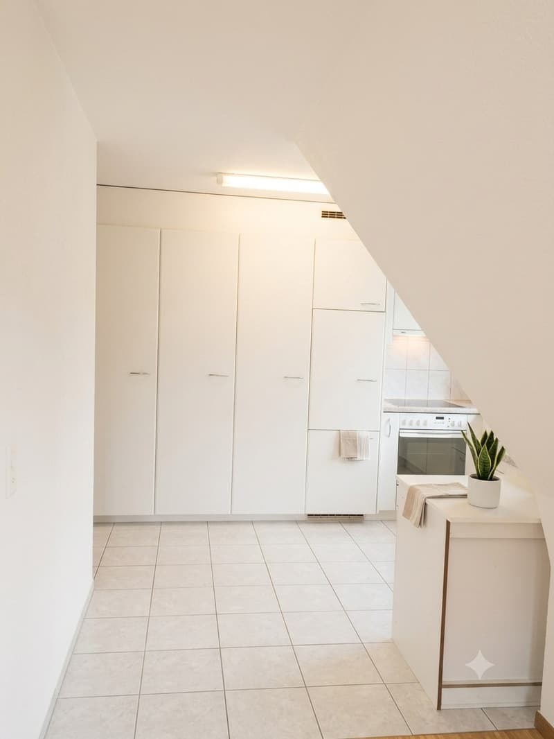 4 ½ rooms apartment, 8050 Zurich (12)