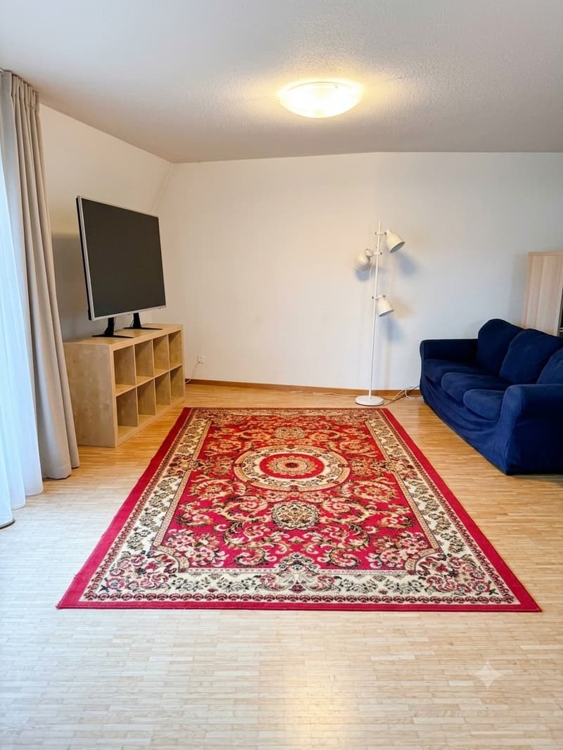 4 ½ rooms apartment, 8050 Zurich (1)