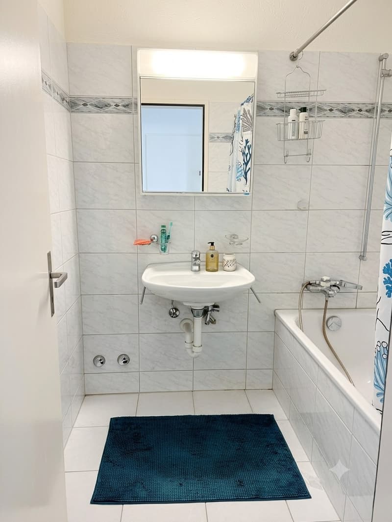 4 ½ rooms apartment, 8050 Zurich (6)