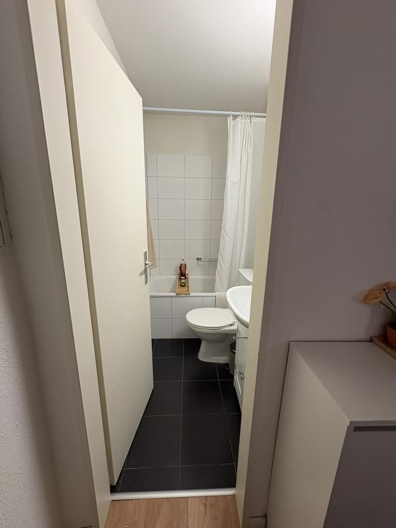 Perfectly located lakeside studio and balcony, available until end September 2027 furnished/part-furnished (6)