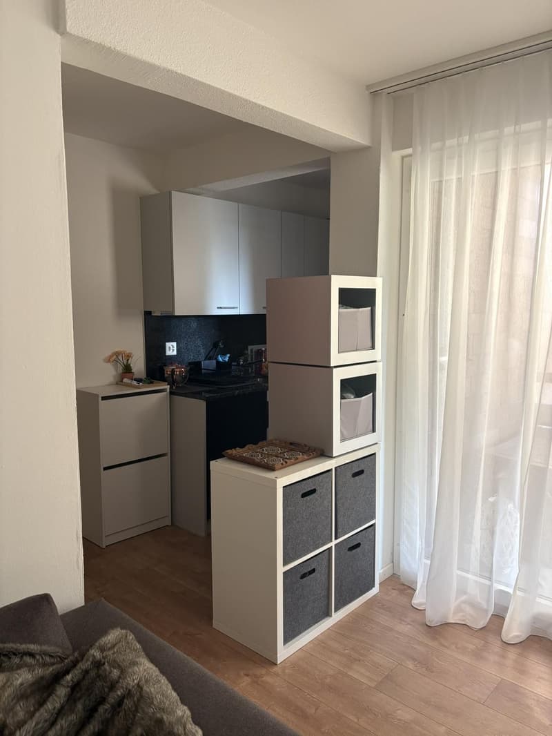 Perfectly located lakeside studio and balcony, available until end September 2027 furnished/part-furnished (3)