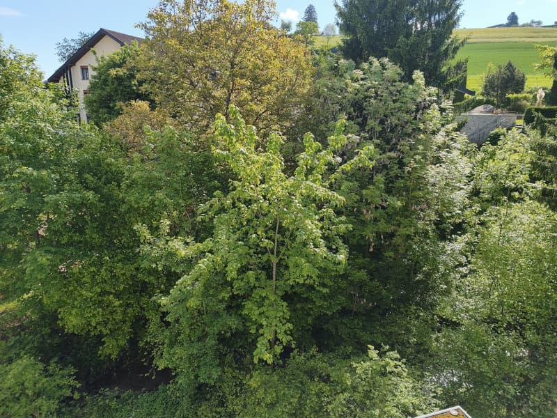Privatzimmer mit eigener Dusche/WC, 28 Min bis ZH HB, inkl. Reinigung (6)