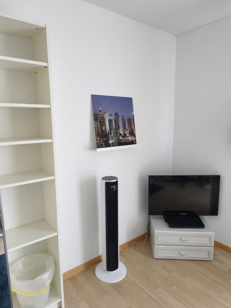 Privatzimmer mit eigener Dusche/WC, 28 Min bis ZH HB, inkl. Reinigung (3)
